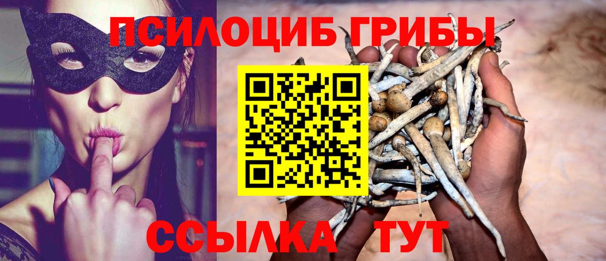 Псилоцибиновые грибы Cubensis  Галлюциногенные грибы мухоморы  Вход с VPN  Ревда 
