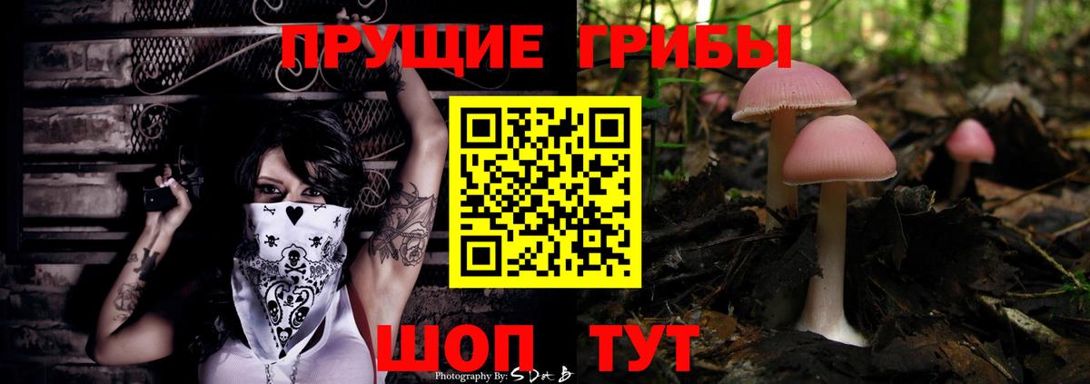 Галлюциногенные грибы Magic Shrooms Ревда